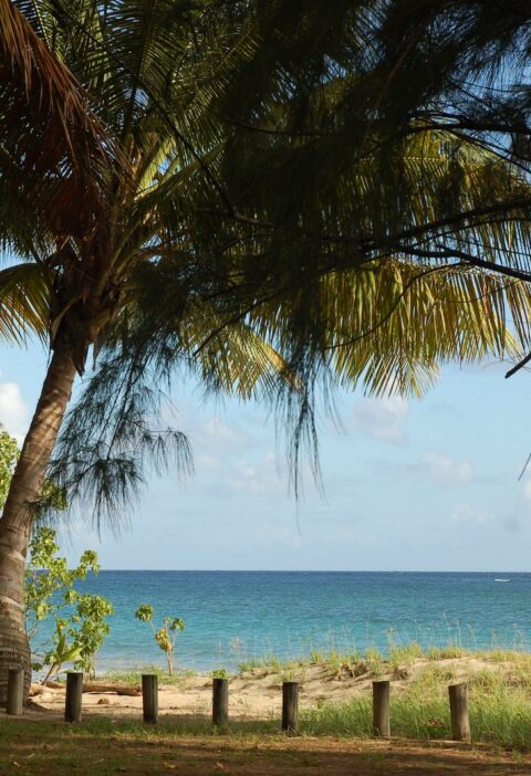 La richesse culturelle et naturelle des Antilles : un trésor à découvrir